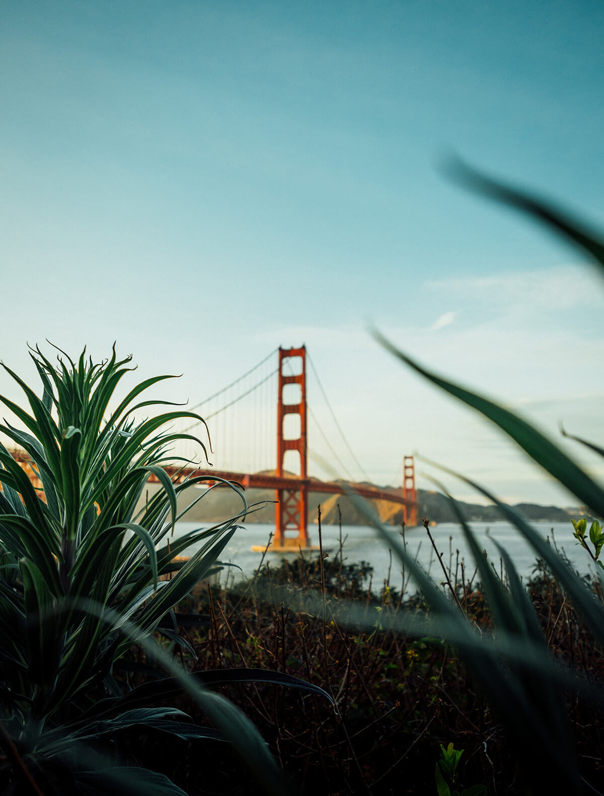 Golden Gate